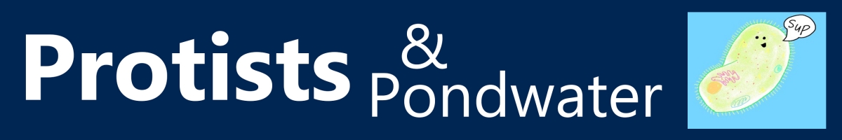 Protists and Pondwater Image Banner